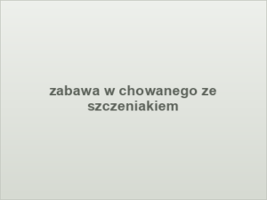 zabawa w chowanego ze szczeniakiem