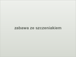 zabawa ze szczeniakiem