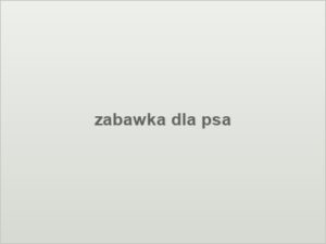 zabawka dla psa