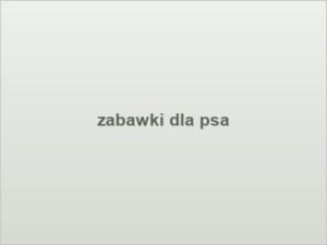 zabawki dla psa