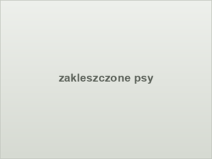 zakleszczone psy