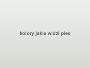 kolory jakie widzi pies