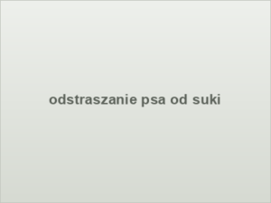 odstraszanie psa od suki