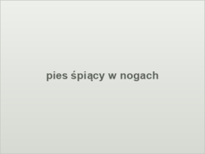 pies śpiący w nogach