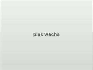 pies wacha