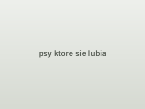 psy ktore sie lubia