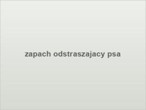 Lizać czy nie lizać rany?
