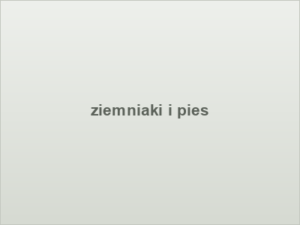 ziemniaki i pies